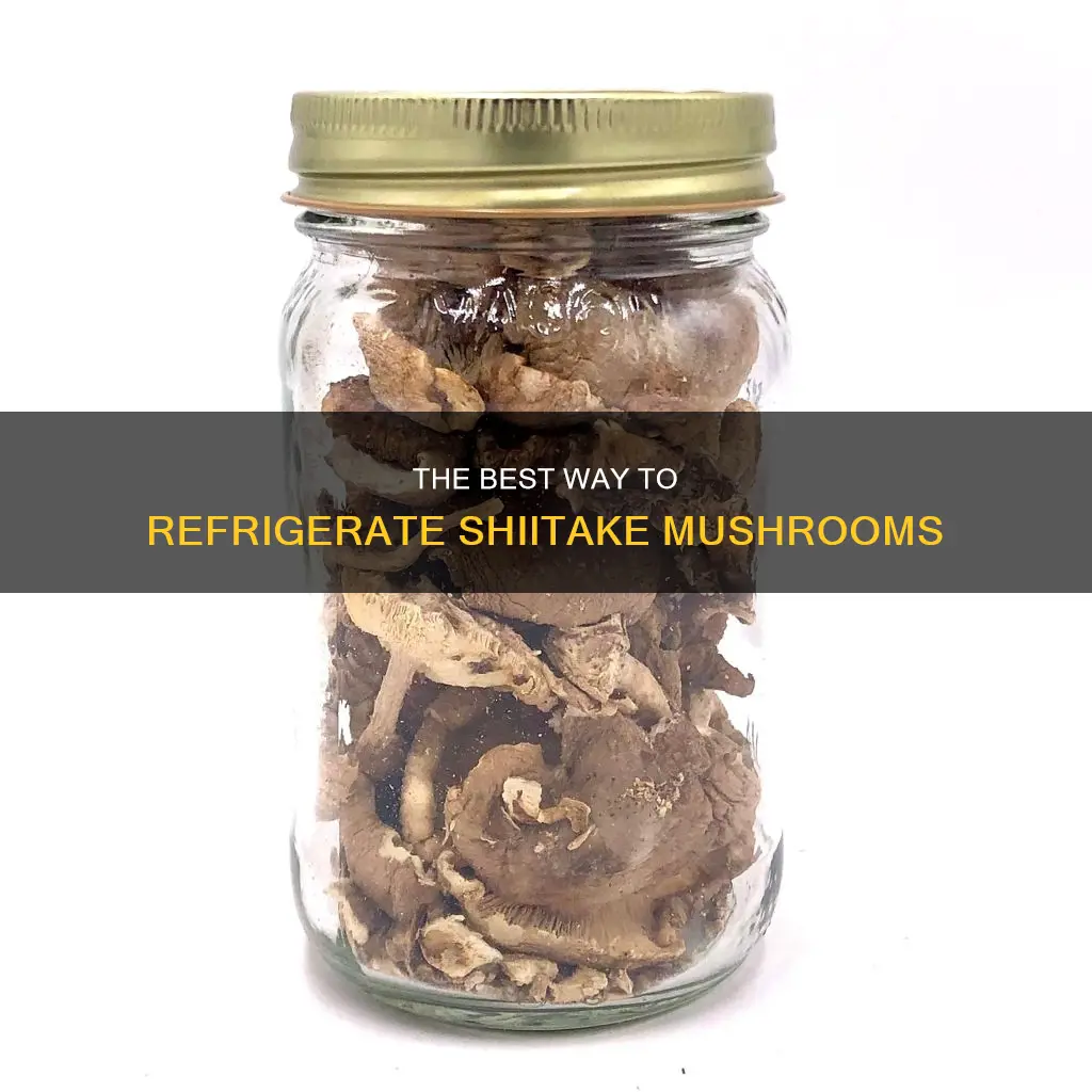 how to refrigerate shiitake mushroom