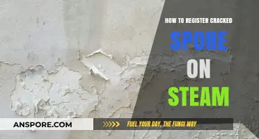 Registering Cracked Spore on Steam: A Step-by-Step Guide