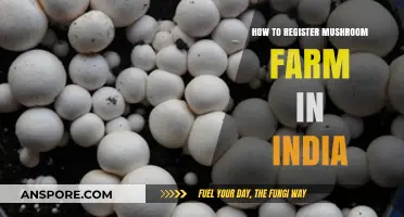 Complete Guide to Registering Your Mushroom Farm in India
