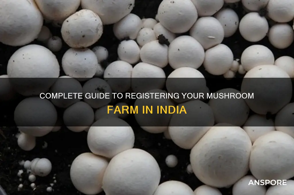 how to register mushroom farm in india