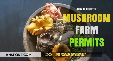 Guide to Obtaining Mushroom Farm Permits: A Step-by-Step Process