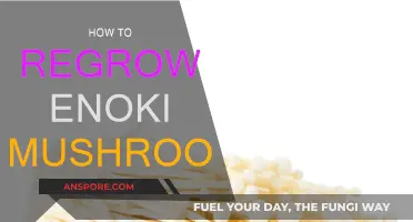 Regrowing Enoki Mushrooms: Easy Steps for Home Growers