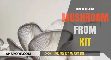 Regrow Mushrooms Easily: A Step-by-Step Guide to Using Your Kit