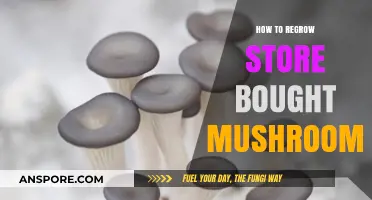 Revive Your Store-Bought Mushrooms: Simple Steps for Fresh Regrowth