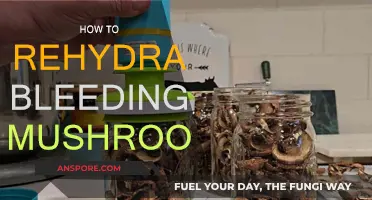 Rehydrating Mushrooms: Stop the Bleed with These Simple Tricks