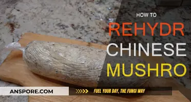 Rehydrating Chinese Mushrooms: Quick and Easy Methods