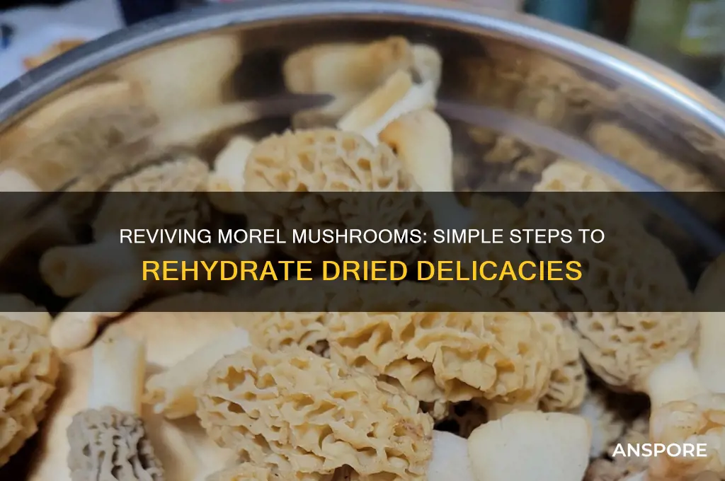 how to rehydrate dried morel mushrooms