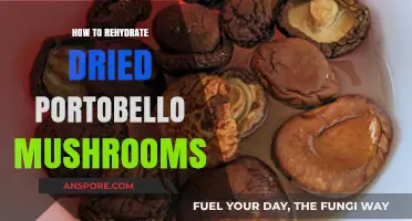 Revive Your Portobellos: Simple Steps to Rehydrate Dried Mushrooms
