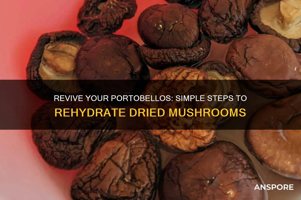 how to rehydrate dried portobello mushrooms