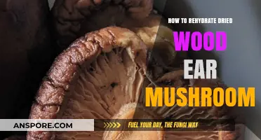 Reviving Dried Wood Ear Mushrooms: Simple Steps for Perfect Rehydration