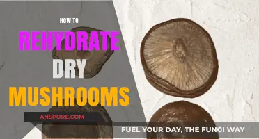 The Magic of Rehydrating Dry Mushrooms: A Quick Guide