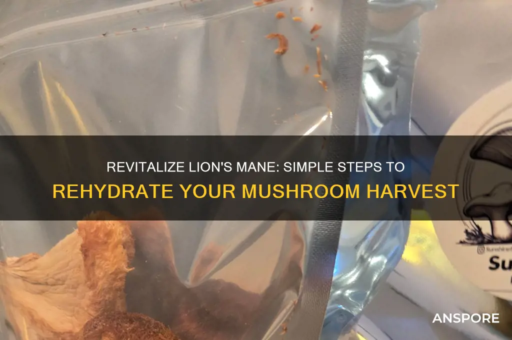how to rehydrate lion