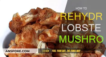 The Magic of Rehydrating Lobster Mushrooms: A Simple Guide