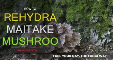 Rehydrating Maitake Mushrooms: A Simple Guide