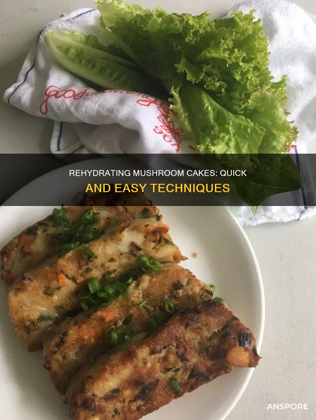 how to rehydrate mushroom cakes