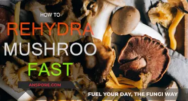 Quickly Rehydrating Mushrooms: A Simple Guide