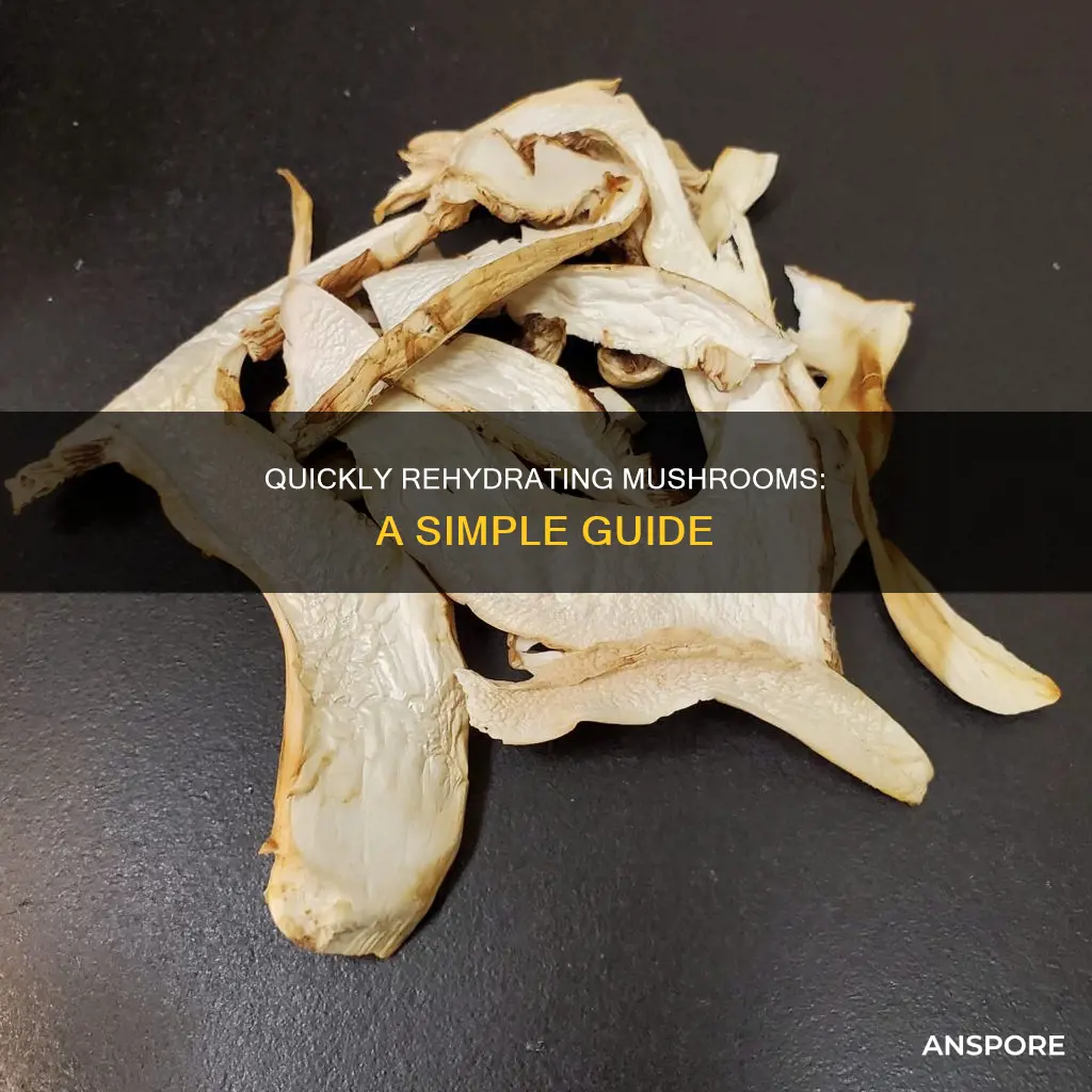 how to rehydrate mushrooms fast