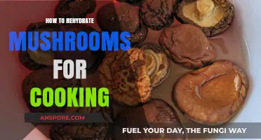 Revive Your Mushrooms: A Simple Guide to Rehydrating for Cooking