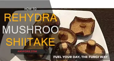 Rehydrating Shiitake Mushrooms: Quick and Easy Methods