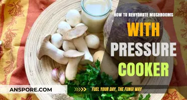 Pressure Cooker Rehydration: Reviving Dried Mushrooms Quickly and Efficiently