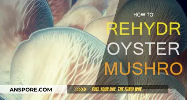 Rehydrating Oyster Mushrooms: Quick and Easy Guide