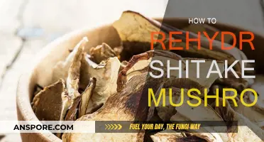 Rehydrating Shiitake Mushrooms: Quick and Easy Methods