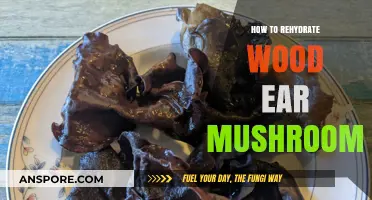 Reviving Wood Ear Mushrooms: Simple Steps to Perfect Rehydration