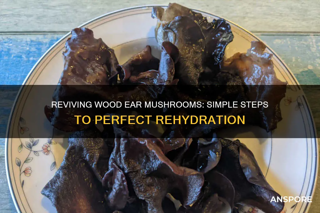how to rehydrate wood ear mushrooms