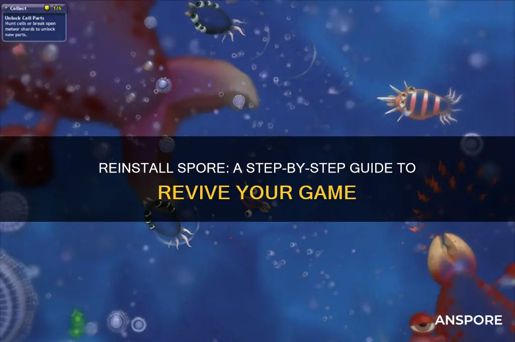 how to reinstall spore