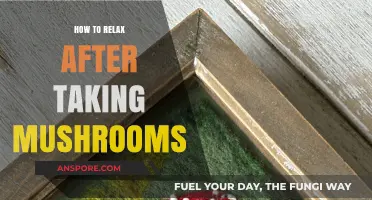 Unwind and Recover: Post-Mushroom Relaxation Techniques for a Calm Mind