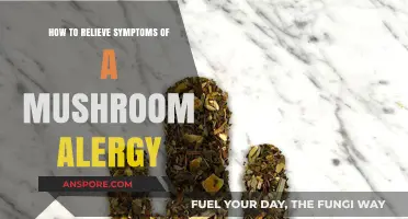 Effective Ways to Relieve Mushroom Allergy Symptoms and Find Relief