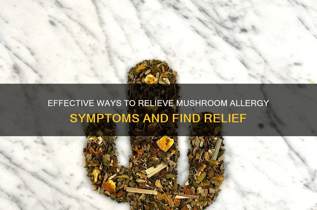 how to relieve symptoms of a mushroom alergy