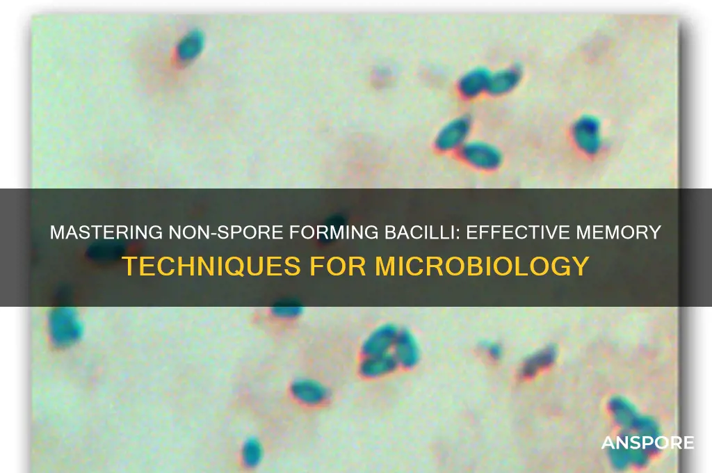 how to remember non-spore forming bacilli