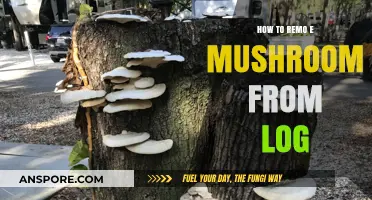 Effective Techniques to Remove Mushrooms from Logs Safely and Easily