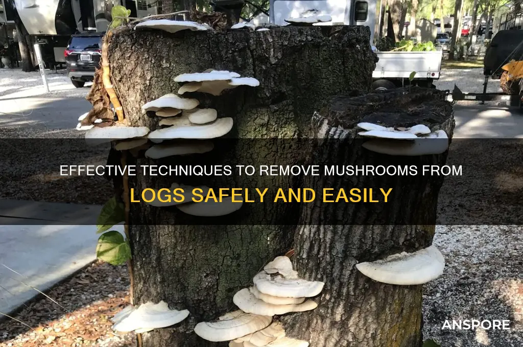 how to remo e mushroom from log