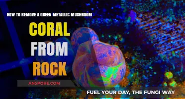 Removing Green Metallic Mushroom Coral from Rock: A Step-by-Step Guide