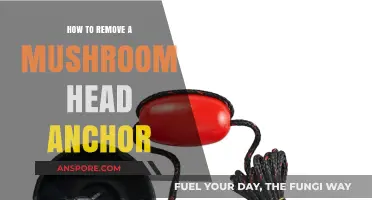 Efficiently Removing Mushroom Head Anchors: A Step-by-Step Guide