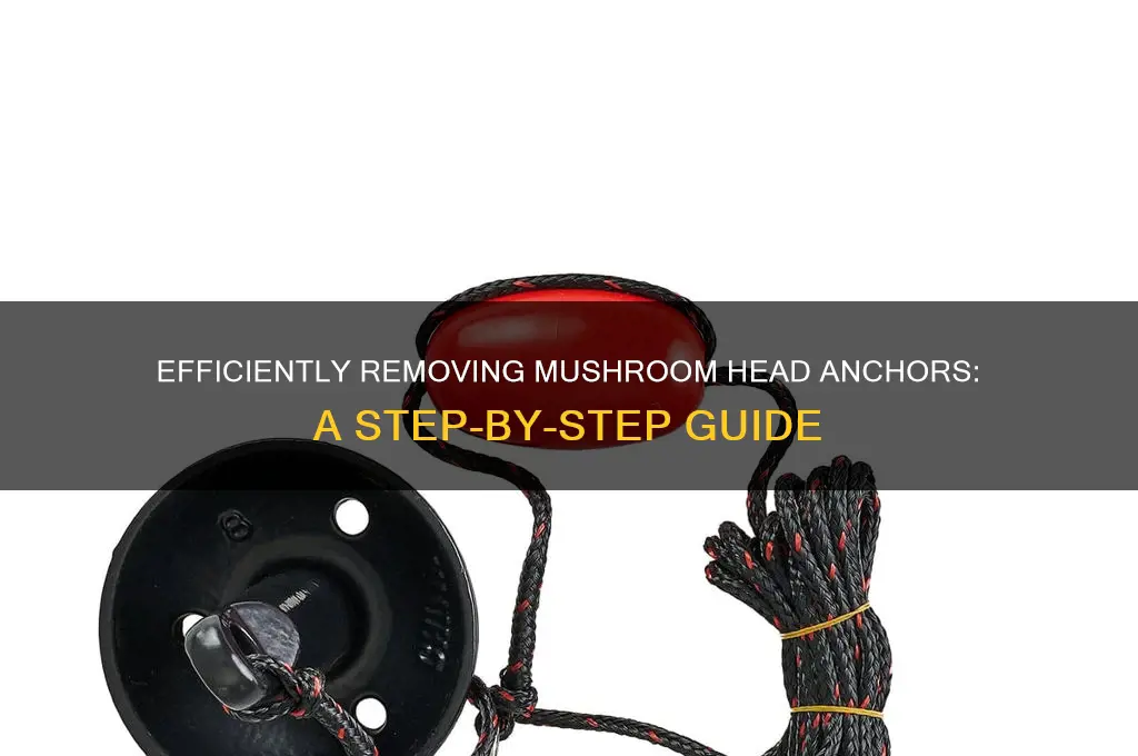how to remove a mushroom head anchor