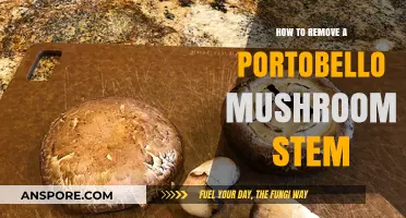 Easy Steps to Remove Portobello Mushroom Stems for Perfect Cooking