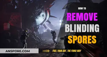 Effective Methods to Safely Remove Blinding Spores from Your Environment