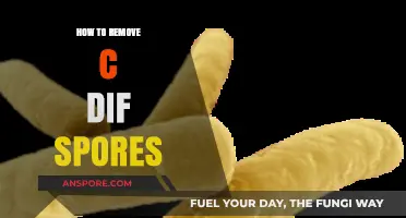 Effective Strategies to Eliminate C. Diff Spores Safely and Thoroughly