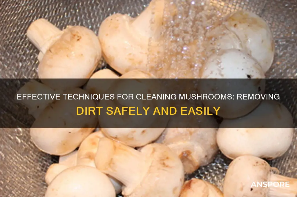 how to remove dirt from mushrooms