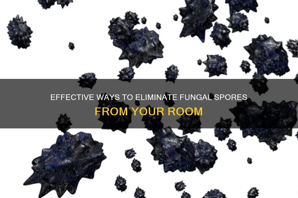 how to remove fungal spores from room