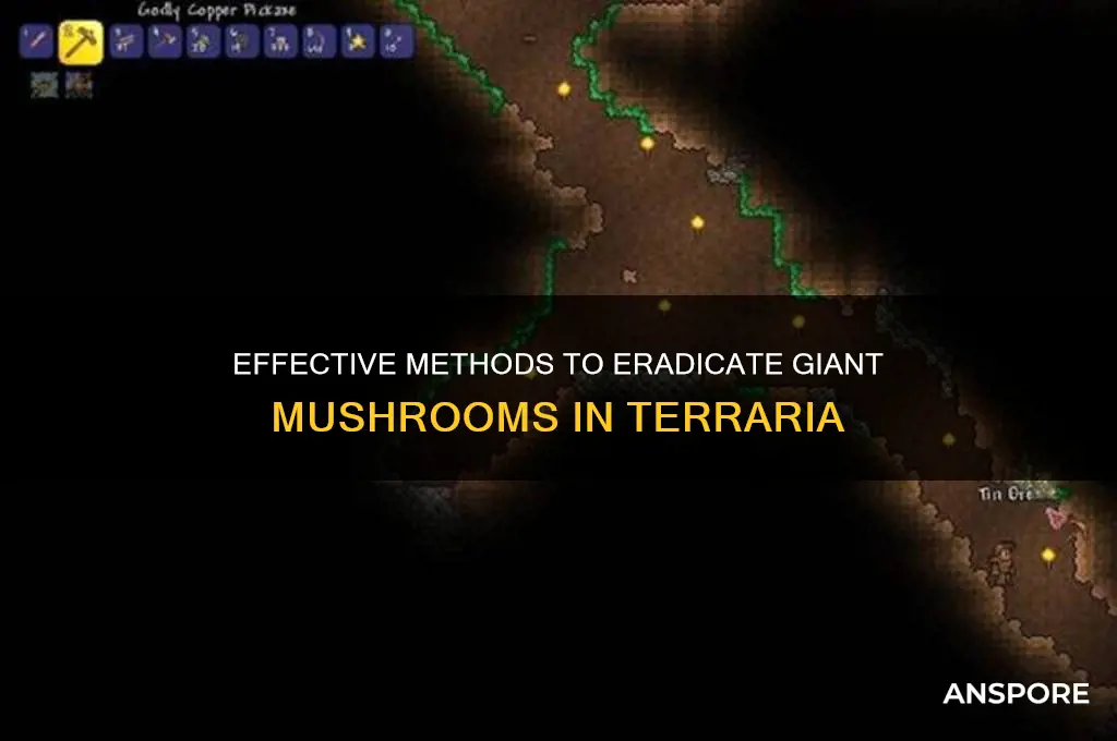 how to remove giant mushrooms in terrarua