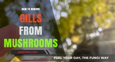 Mastering Mushroom Prep: A Simple Guide to Removing Gills