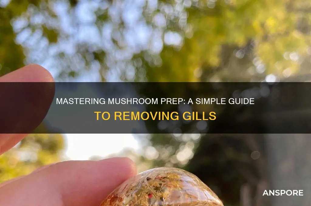 how to remove gills from mushrooms