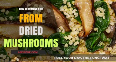 Effective Techniques to Remove Grit from Dried Mushrooms Easily