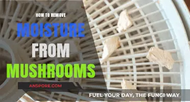 Effective Techniques to Remove Moisture from Mushrooms for Longer Storage