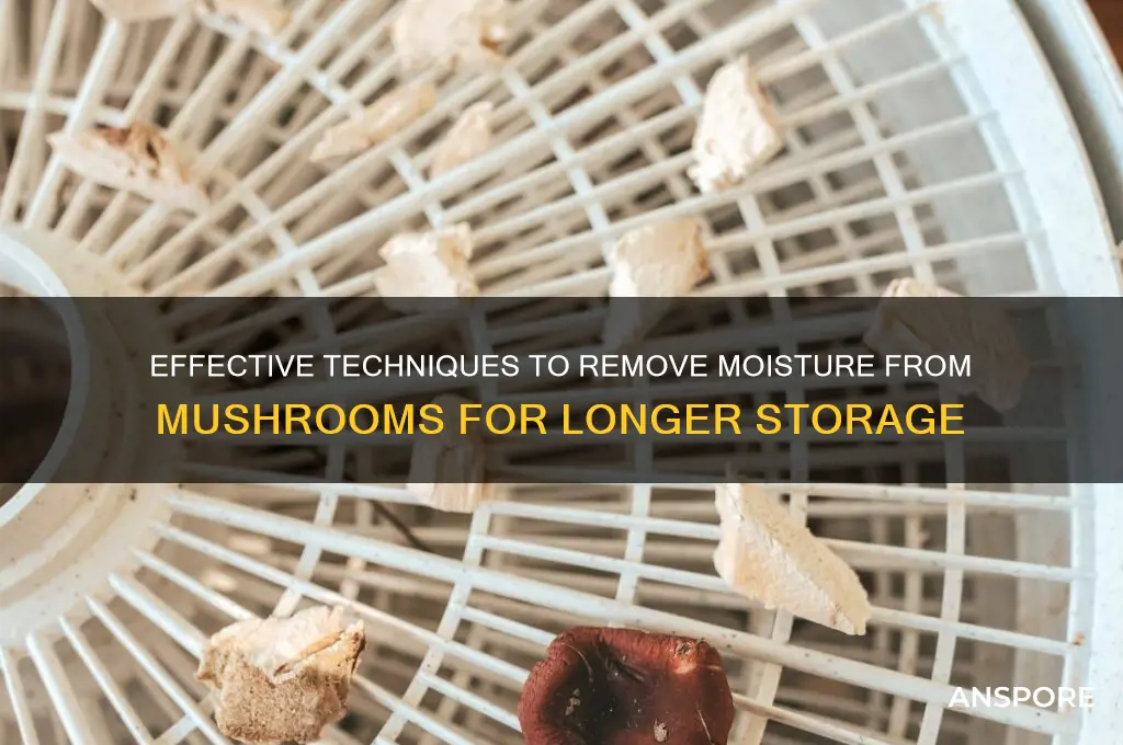how to remove moisture from mushrooms