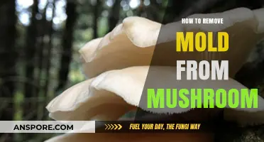 Effective Techniques for Removing Mold from Fresh Mushrooms Safely
